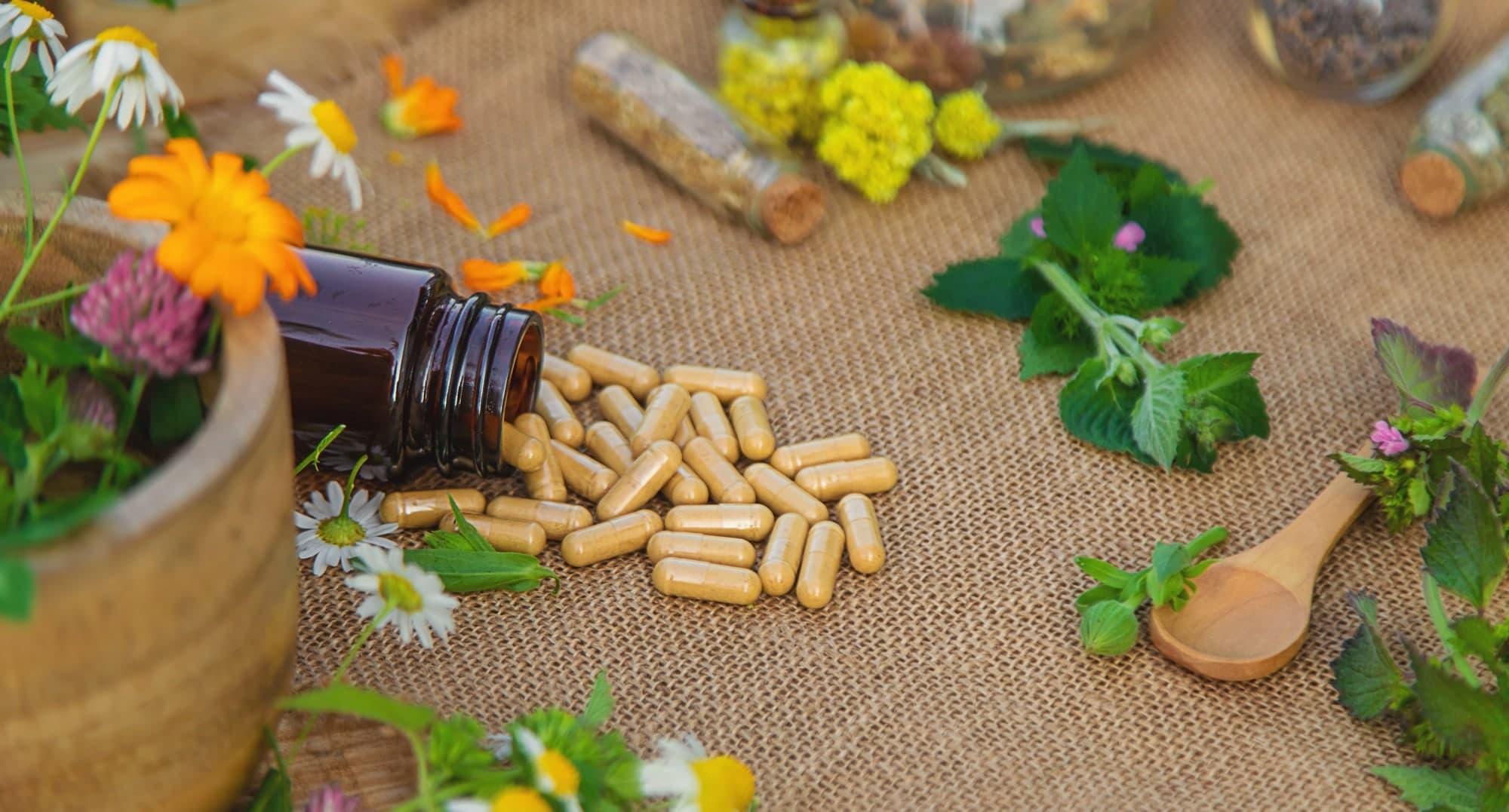 Botanical ingredients arranged on natural woven cloth
